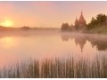 Grzezawisko